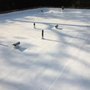Photo of Alpha & Omega Roofing