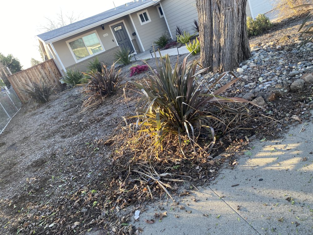 AMAYA GARDEN SERVICE 17 Photos Yelp