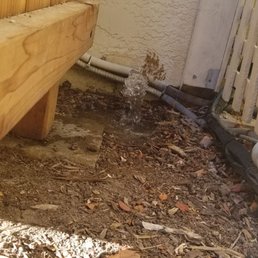 Another sprinkler that was removed that gushed every night at 4am for a week. Another sprinkler that was removed that gushed every night at 4am for a week.