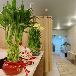 Bay Ridge Acupuncture