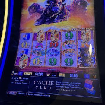 Cache Creek Casino Resort - Four coin bonus and tiny payout very sad. - Casinos Near Me - Brooks, California