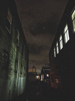 Alley Catz Process Services, LLC