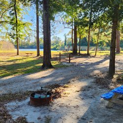 Magnolia Lane Campground - Camper view 2025