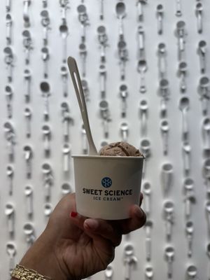 Sweet Science Ice Cream by null