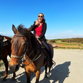 Seahorse Equestrian Tours - Amazing! - Horseback Riding Near Me Seahorse Equestrian Tours - Amazing! - Horseback Riding Near Me