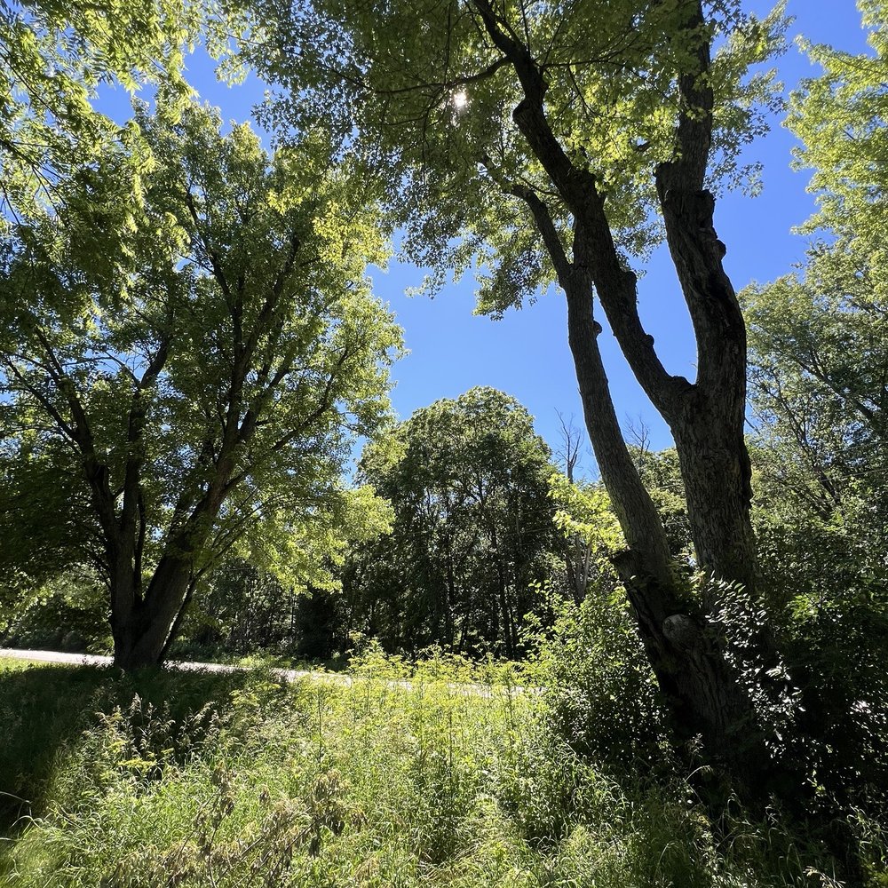 Zumbro South Trail - Hiking Near Me - Rochester, Minnesota Zumbro South Trail - Hiking Near Me - Rochester, Minnesota