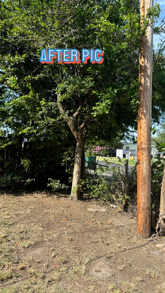 Slide of AL’s Lawn Service & Gonzalez Construction