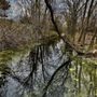 Photo of Springbrook Nature Center