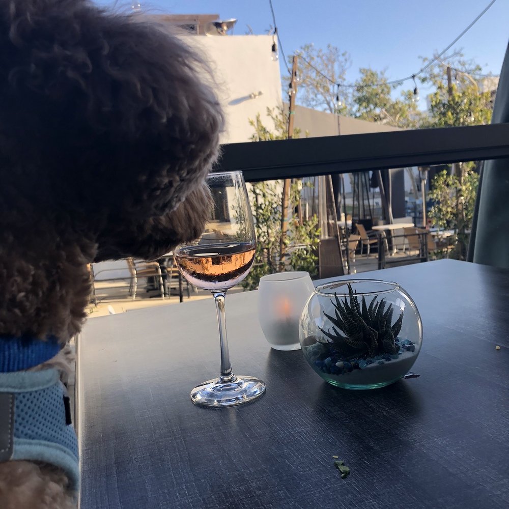 zinc@shade - New American Near Me - Manhattan Beach, California zinc@shade - New American Near Me - Manhattan Beach, California