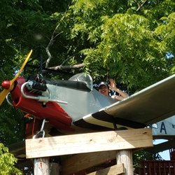 Tree Creations - Real airplane!