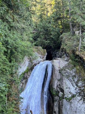 Twin Falls Natural Area by null