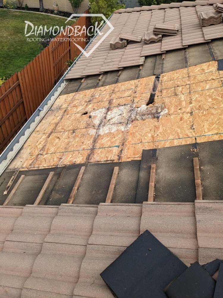 Slide of Diamondback Roofing & Waterproofing