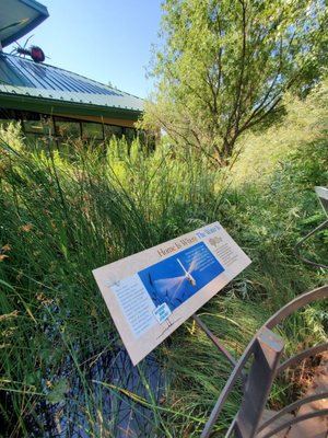 ABQ BioPark Zoo by null