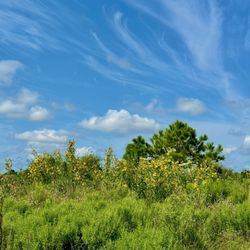 Willow Fork Park