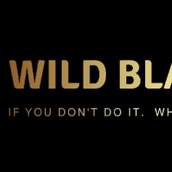 Wild blast logo and slogan
