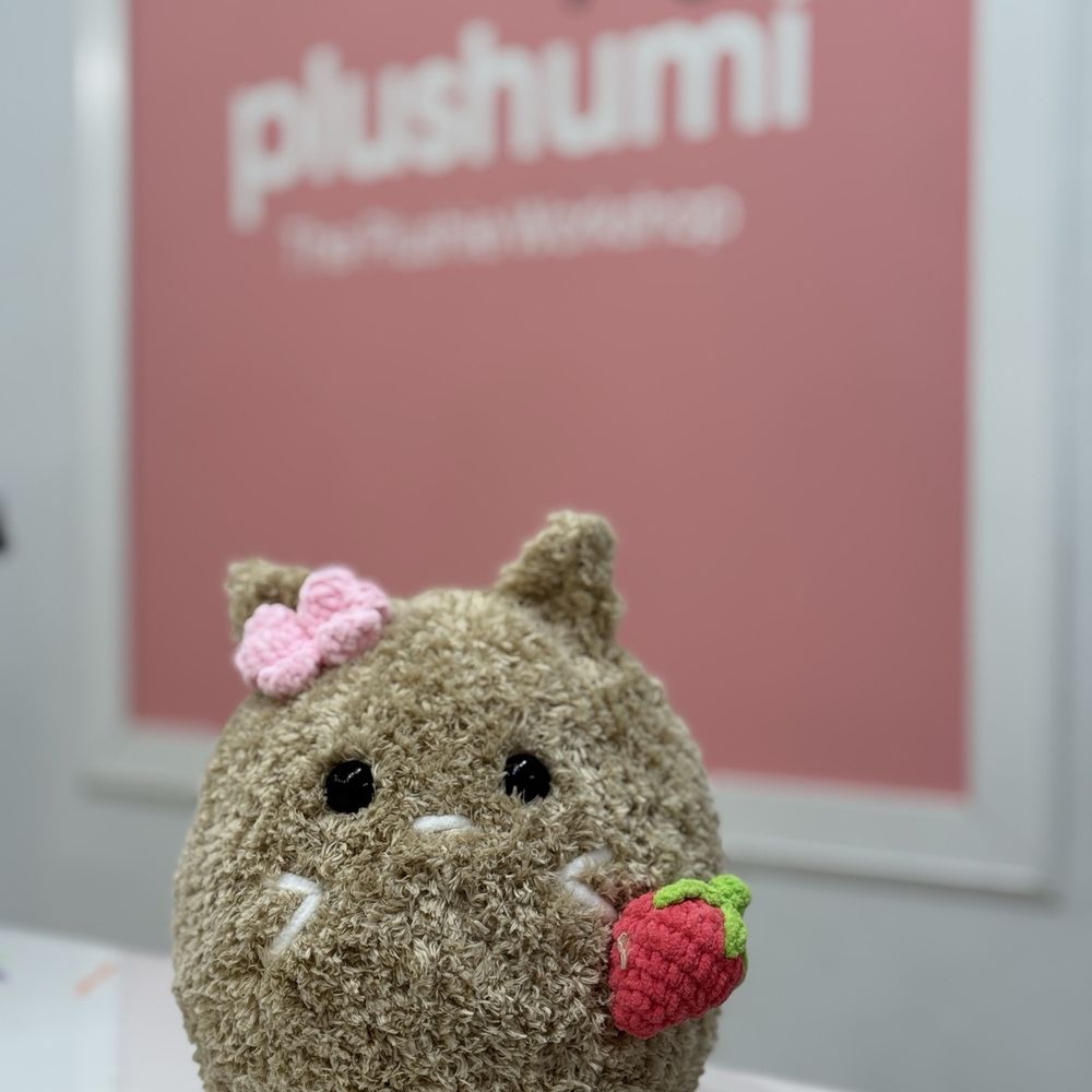 The Plushie Workshop - Final chinchilla! - Kids Activities Near Me - Pasadena, California The Plushie Workshop - Final chinchilla! - Kids Activities Near Me - Pasadena, California