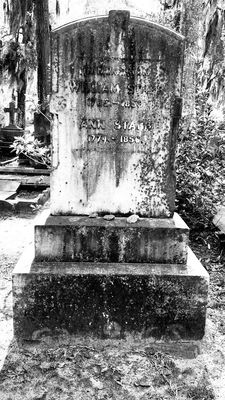 Bonaventure Cemetery by null