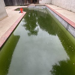 Superior Pool Pro - The heavy rain this year washed the dirt into this pool quickly turning it green.