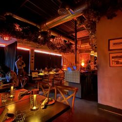 Mangrove - The Vibe!!!!