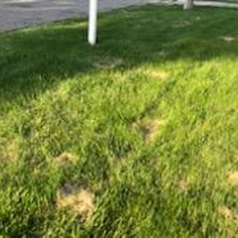 LawnGuru - Snow Removal Near Me - Novi, Michigan LawnGuru - Snow Removal Near Me - Novi, Michigan