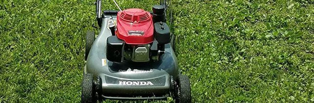 Mcfaith Lawn Care - tree service in New Orleans, LA