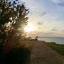 Photo of Travemünder Sessel-Landschaft