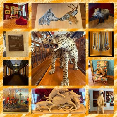 Museum of Hunting and Nature by null