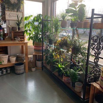 Myers Flower Shop - Live plants - Bridal Near Me - Washington, Indiana
