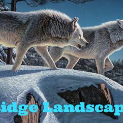 Alpha Ridge Landscaping