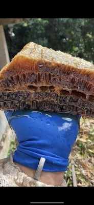 Honey - We have honey!! Honey - We have honey!!