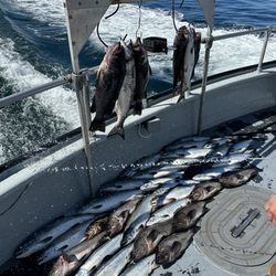 Inlet Charters Across Alaska Adventures - Catch of the day!