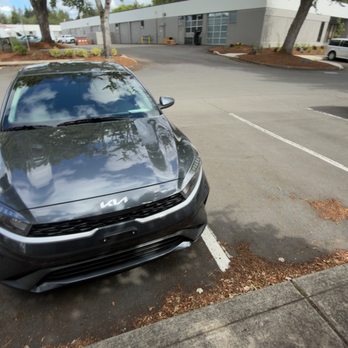 Alexia's Window Tinting - Vehicle Wraps Near Me - Beaverton, Oregon