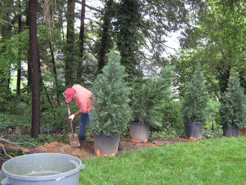 Slide of Fernando Landscaping