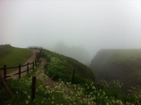 Dunnottar Castle by null