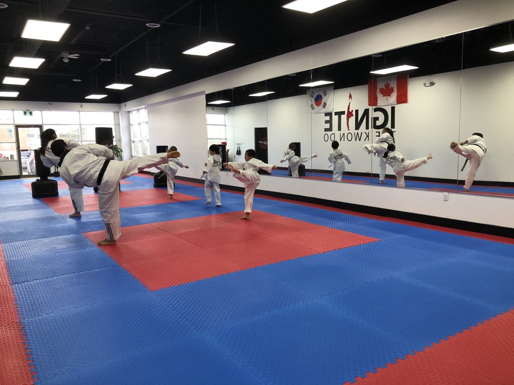 Ignite Taekwondo Logo