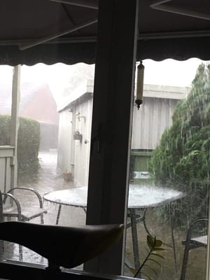 Rochdale Town Hall by null