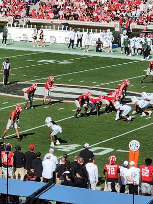 Sanford Stadium by null