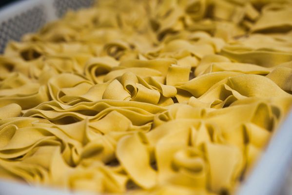 Maida Trattoria by null