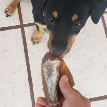 Healthy Paws Market - $2 for a hoof!! - Pet Stores Near Me - Mesa, Arizona Healthy Paws Market - $2 for a hoof!! - Pet Stores Near Me - Mesa, Arizona