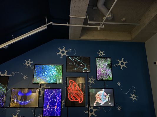 Phillip & Patricia Frost Museum of Science by null