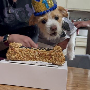 Three Dog Bakery Encino - Pet Stores Near Me - Los Angeles, California Three Dog Bakery Encino - Pet Stores Near Me - Los Angeles, California