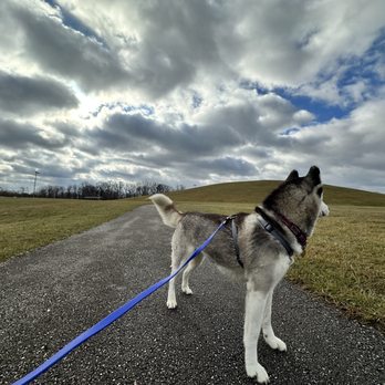 Good Shepherd Training - Dog Walkers Near Me - Indianapolis, Indiana Good Shepherd Training - Dog Walkers Near Me - Indianapolis, Indiana