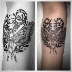 By Hayley Halbach