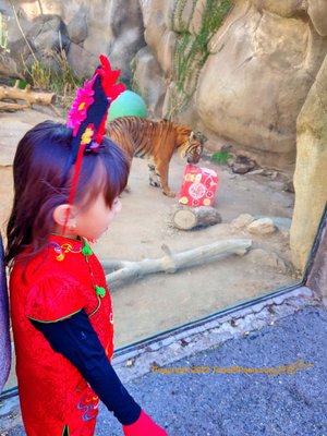 El Paso Zoo and Botanical Gardens by null