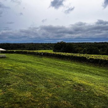 Windridge Vineyards - Wineries Near Me - Darnestown, Maryland