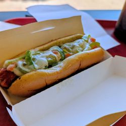 Philly dog