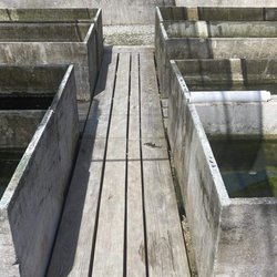 Summerland Tropical Fish Farms - Fish farm