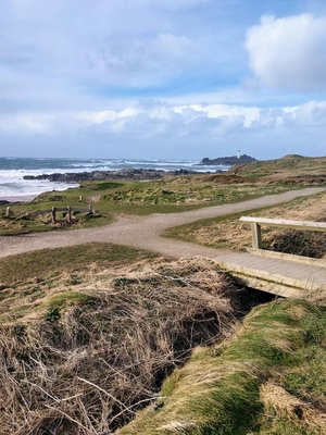 Godrevy Lighthouse by null