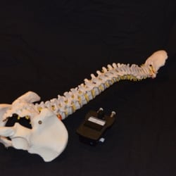 New Horizons Family Chiropractic