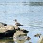 San Gabriel River Bike Trail